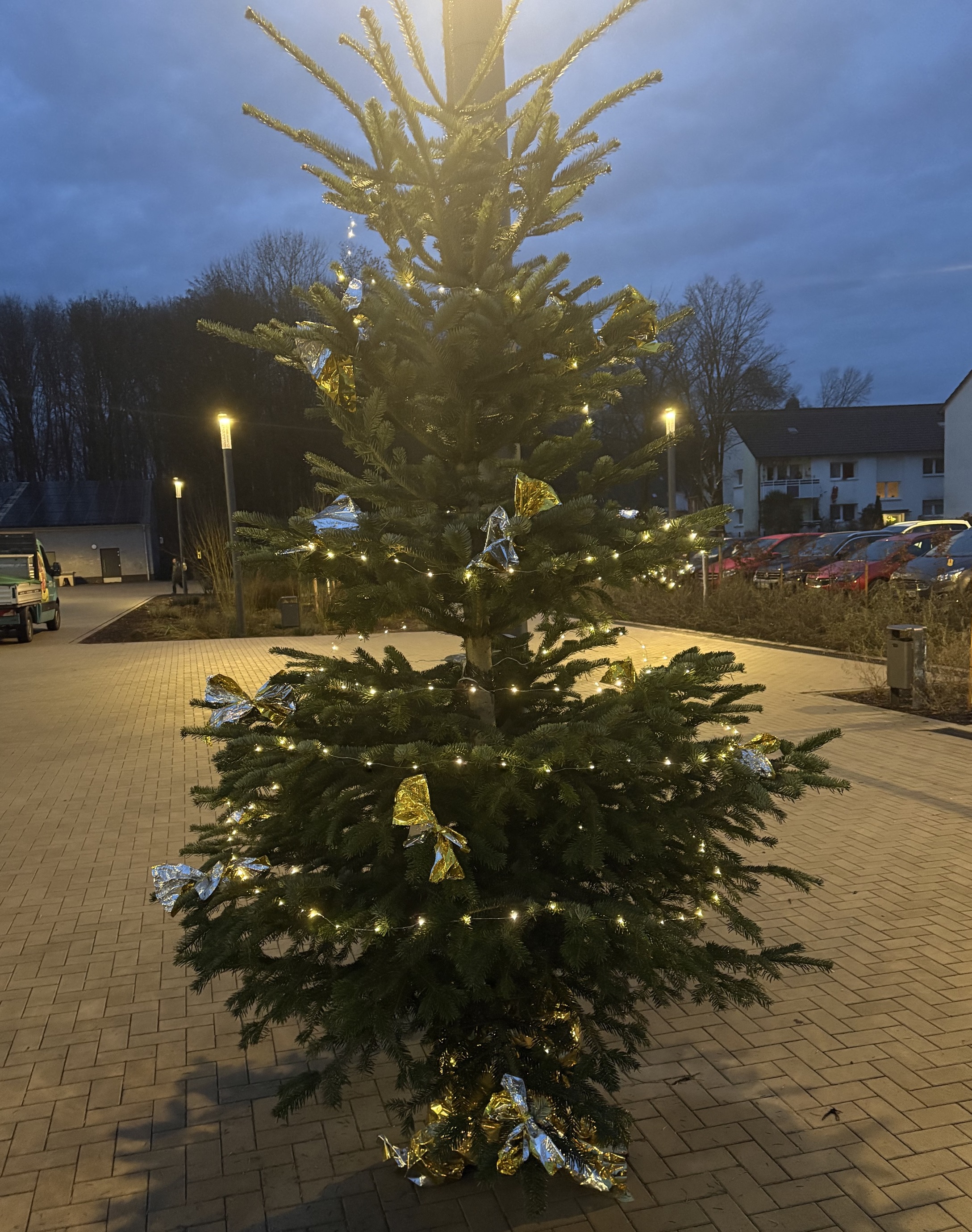 Weihnachtsbaum Baasner 2025